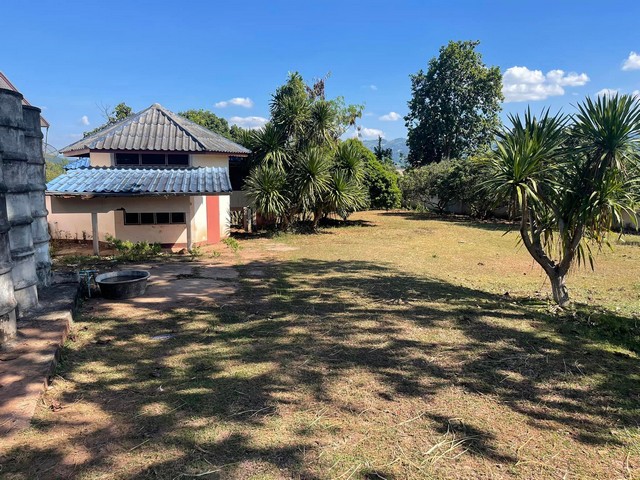 ขายที่ดินพร้อมบ้าน เจ้าของขายเอง เหมาะทำเป็นที่อยู่อาศัยหรือบ้านพักตากอากาศ  อำเภอด่านซ้าย จังหวัดเลย